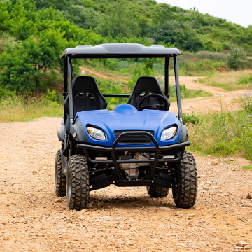 Electric Side-by-Side UTVs: 2-Seater 4x4 Models for Activities