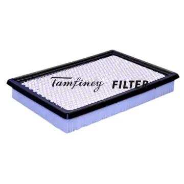 General Motor Air Filter 25096932, 92101146, 24508572, Ca6769 