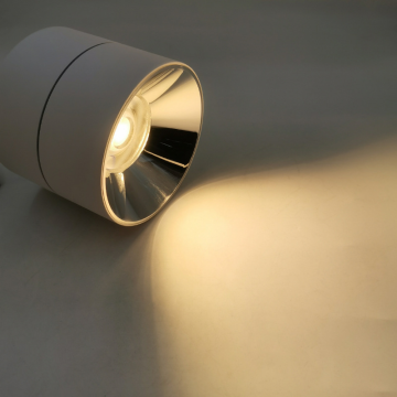 Hohe Helligkeit IP65 warme weiße LED -Downlights