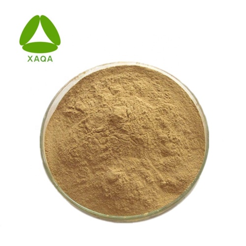 Female Health Care Material Isoflavones 8% 10% 20% Red Clover Extract Powder Manufactory