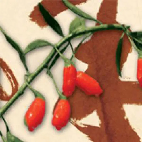 Herbal Natural Healthy Wolfberry Tea ORAC Value