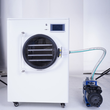 New Generation 0.6m² Home Fruit Vacuum Freeze Dryer Lyophilizer
