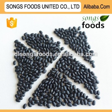 Import goods of balck beans from thailand