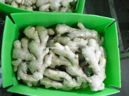 Dried ginger  2020
