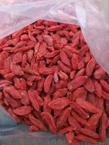 Organic Dried Goji Berries 220 Count