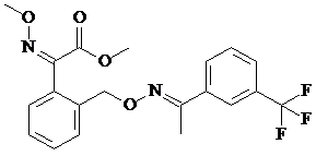 herbicides with triclopyr paraquat