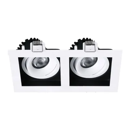 Customizable Double Head Anti-Glare COB Downlight