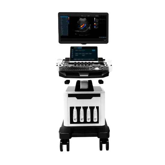 Price and Details of Portable Black and White Ultrasound Machines for Veterinary Use