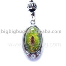 Insect amber mobile phone charms-www.bigbigbug.com