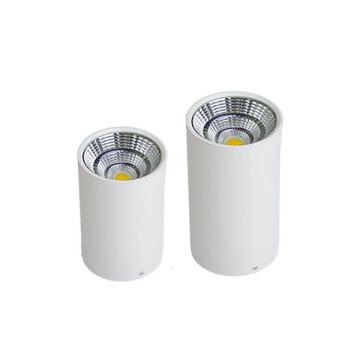 LEDER Aydınlatma Tasarımı COB 3W LED Downlight