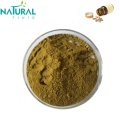 Extrato de Bupleurum Sinensis Extrato de raiz de Thorowax