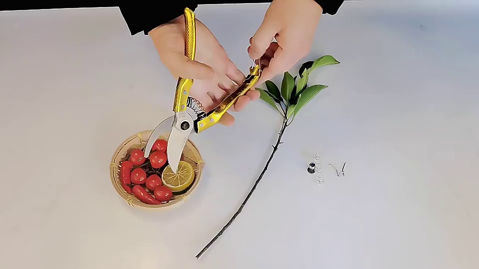 Factory Outlet SK5 Professional Bypass Pattern Pruning Garden Shear Hand Garden Tools