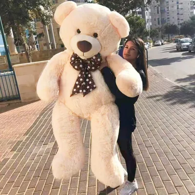 Search: Plush 160cm Big Teddy Bear - Giant Teddy Bears for Sale