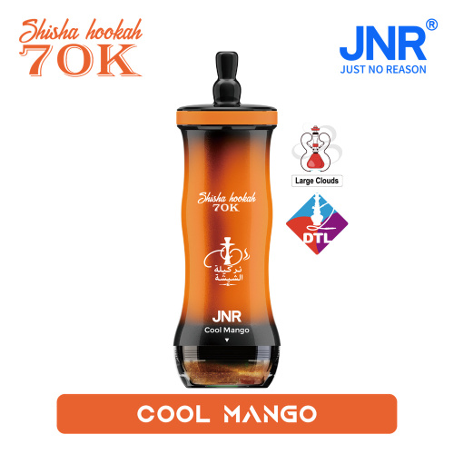 JNR SHISHA 70K пуфове за еднократна употреба vape на едро