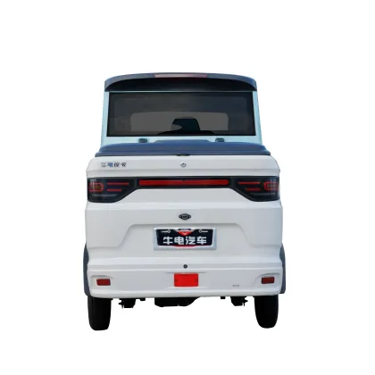 Electric Pickup Trucks and Cars: Hot Sales in New Energy Vehicles