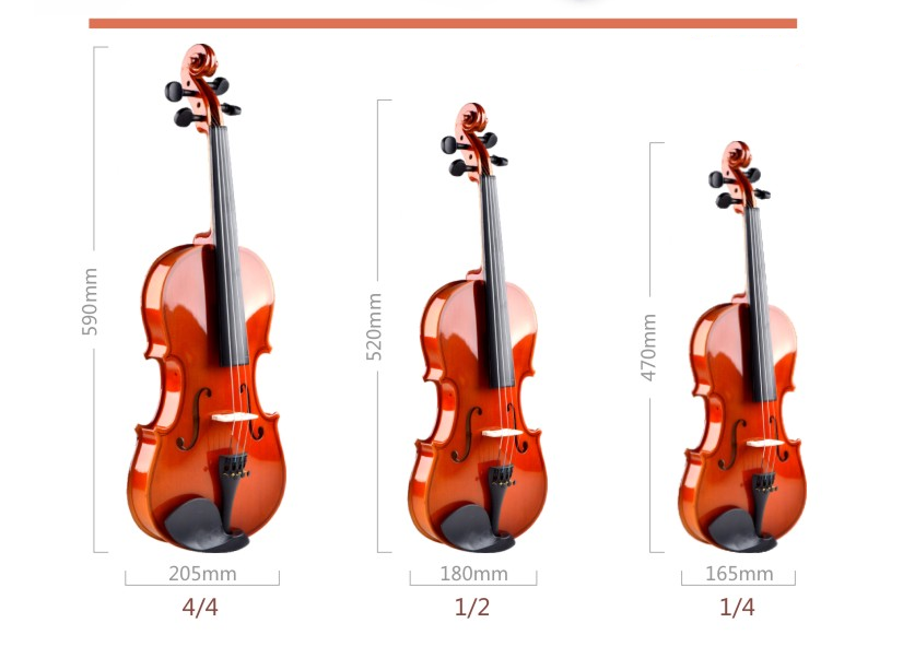 Tayste Violin R 20 10