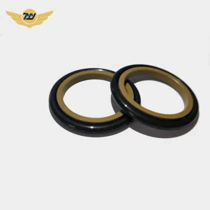 Hydraulic cylinder ptfe piston shaft GSI seals