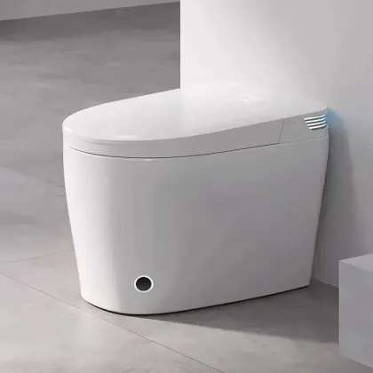 Modern Automatic Smart Toilet Sanitary Ware
