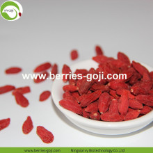 Variedad de suministro de la fábrica Producto de fruta a granel Goji Berry