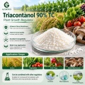 ترياكونتانول 90% TC منظم نمو النباتات الطبيعية