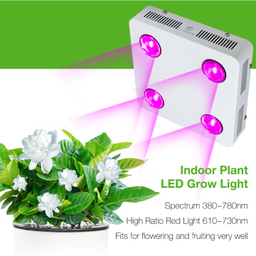 China made high power cob led grow light full spectrum 600w