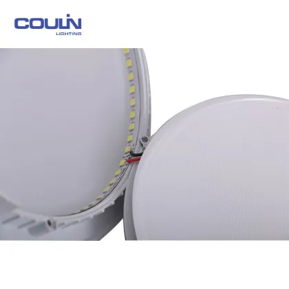 Chinese Supplier Cheap Price Led Ceiling Light 3W