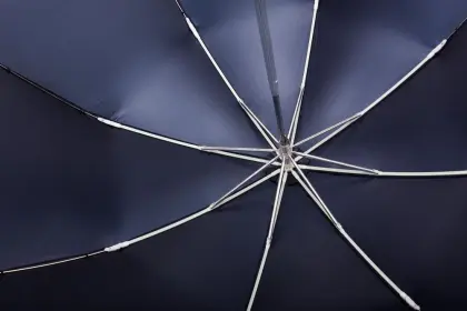 Lace Hock Women's Folding Umbrella Hand Open