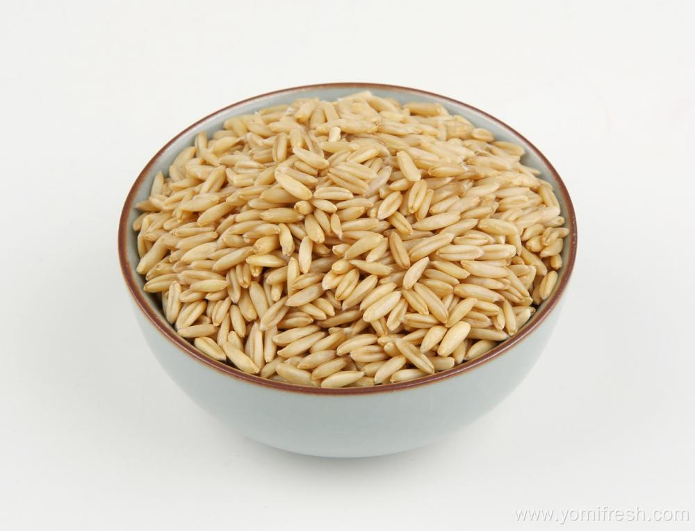 Oatmeal Rice Krispie Treats