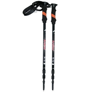 Trekking Pole (SL-21-3-135)