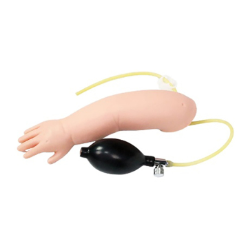 Darhmmy Advanced PVC Infant Arterial Pincture Training ARM Modèle