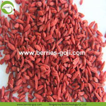 Fruits d&#39;approvisionnement d&#39;usine emballant l&#39;UE Goji Berry