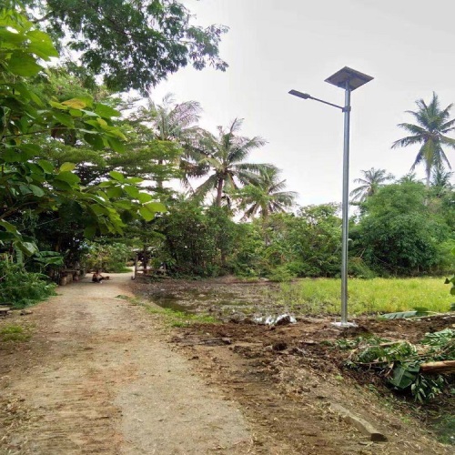 Venta caliente 50W luces de calle llevadas solares