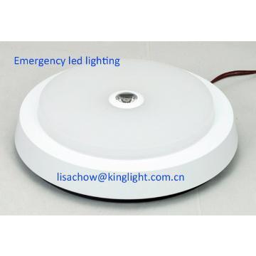 home emergency led lights IP44
