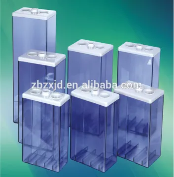 Transparent Battery Container