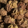 Nueces Dapao Yunnan orgánicas frescas
