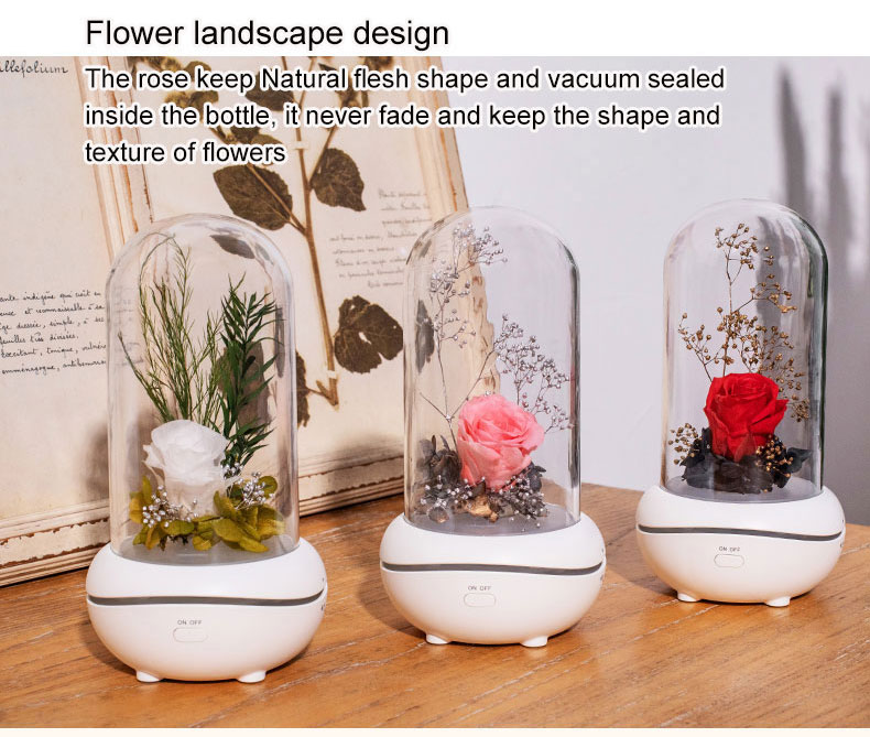 Rose fragrance lamp unique waterless aroma diffuser