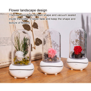 High quality waterless aroma diffuser fragrance lamp