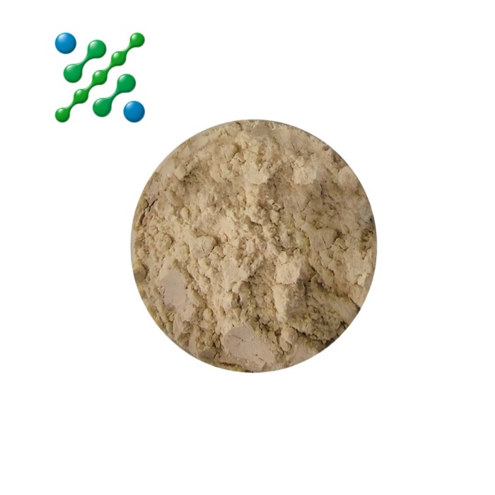Fruta Noni Orgânica em Pó