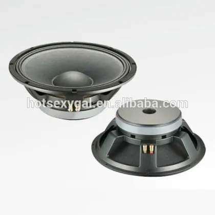 W0218 5.1 speaker rcf woofer with CE and RoHS