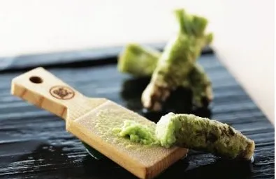 43g Wasabi Sauce Hero Wasabi Paste for Foods