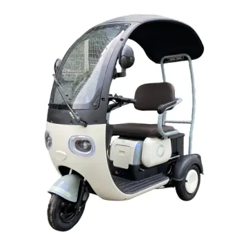 Etr-Panda Electric Tricycles: Electric Three Wheelers for Passengers and Motorbikes