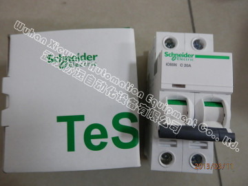 IC65N 2P 20CA Schneider circuit breaker