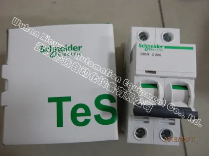 IC65N 2P 20CA Schneider circuit breaker