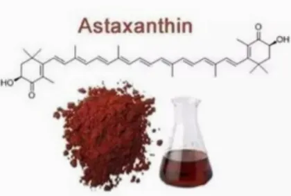 Astaxanthin powder Algae Astaxanthin10%