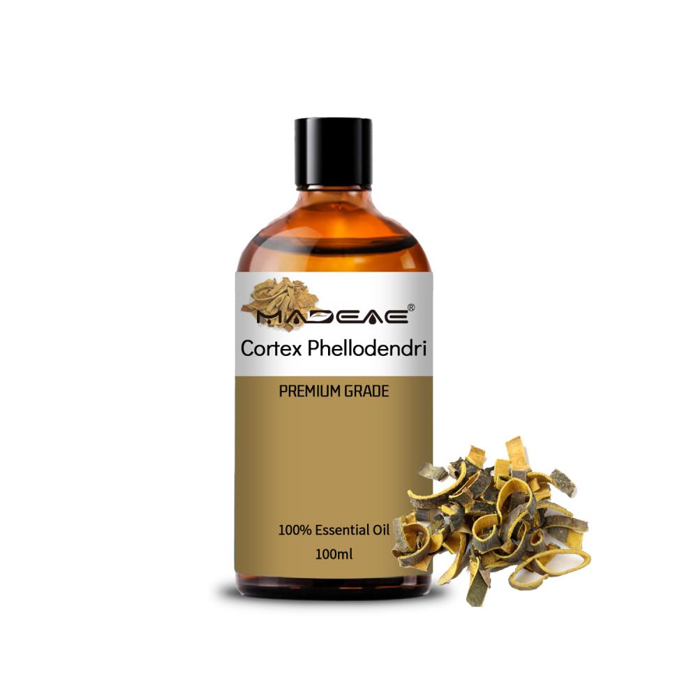 Aceite de extracto puro Phellodendron Amurense Bark y Cortex Phellodendri Oil