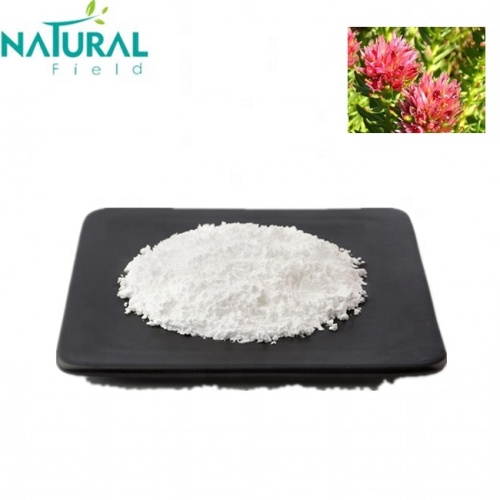 Male Health Care Ingredient High quality 98% Salidroside rhodiola rosea extract powder Factory