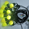 12V G45 RGB+WW 15 lights string