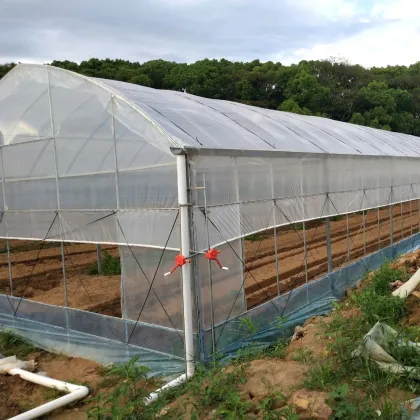 Agriculture Farm GreenHouse /Flower Hydroponics Greenhouse