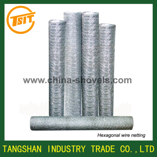 Hexagonal wire netting