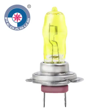 H7 12V 24V 55W 70W 100W Halogen Lamp